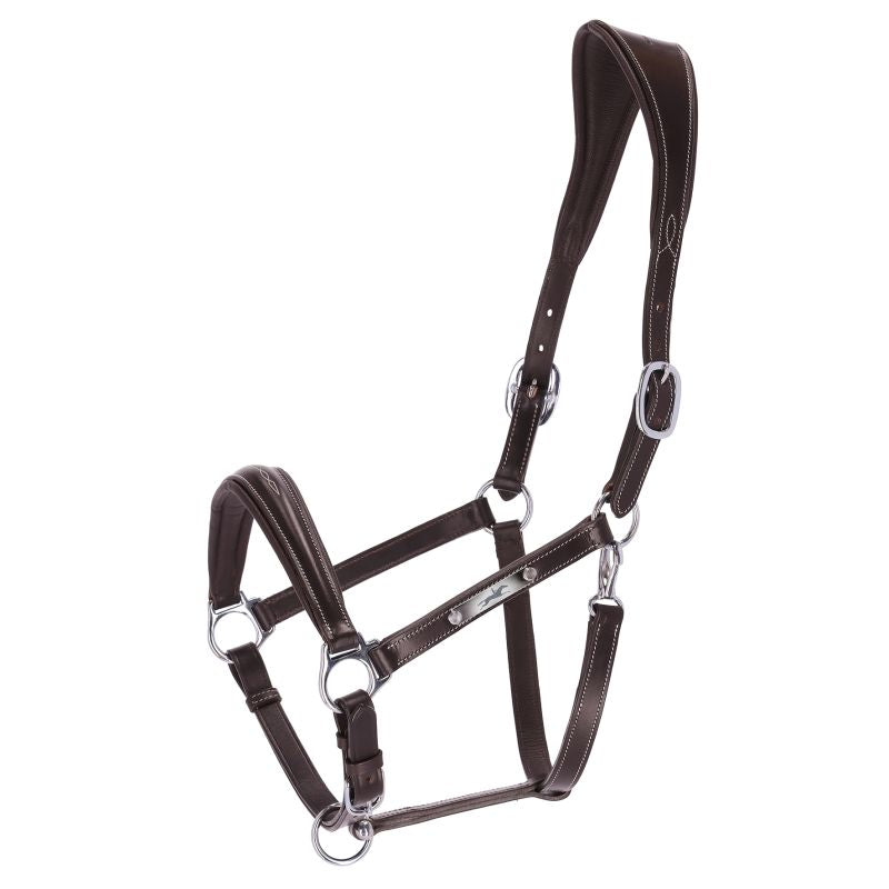 Frisco Fancy Stitch Leather Halter by Schockemoehle Sports