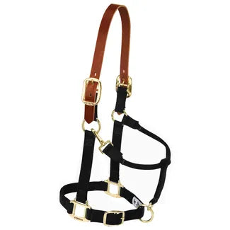 Breakaway Nylon Halter by Weaver Leather