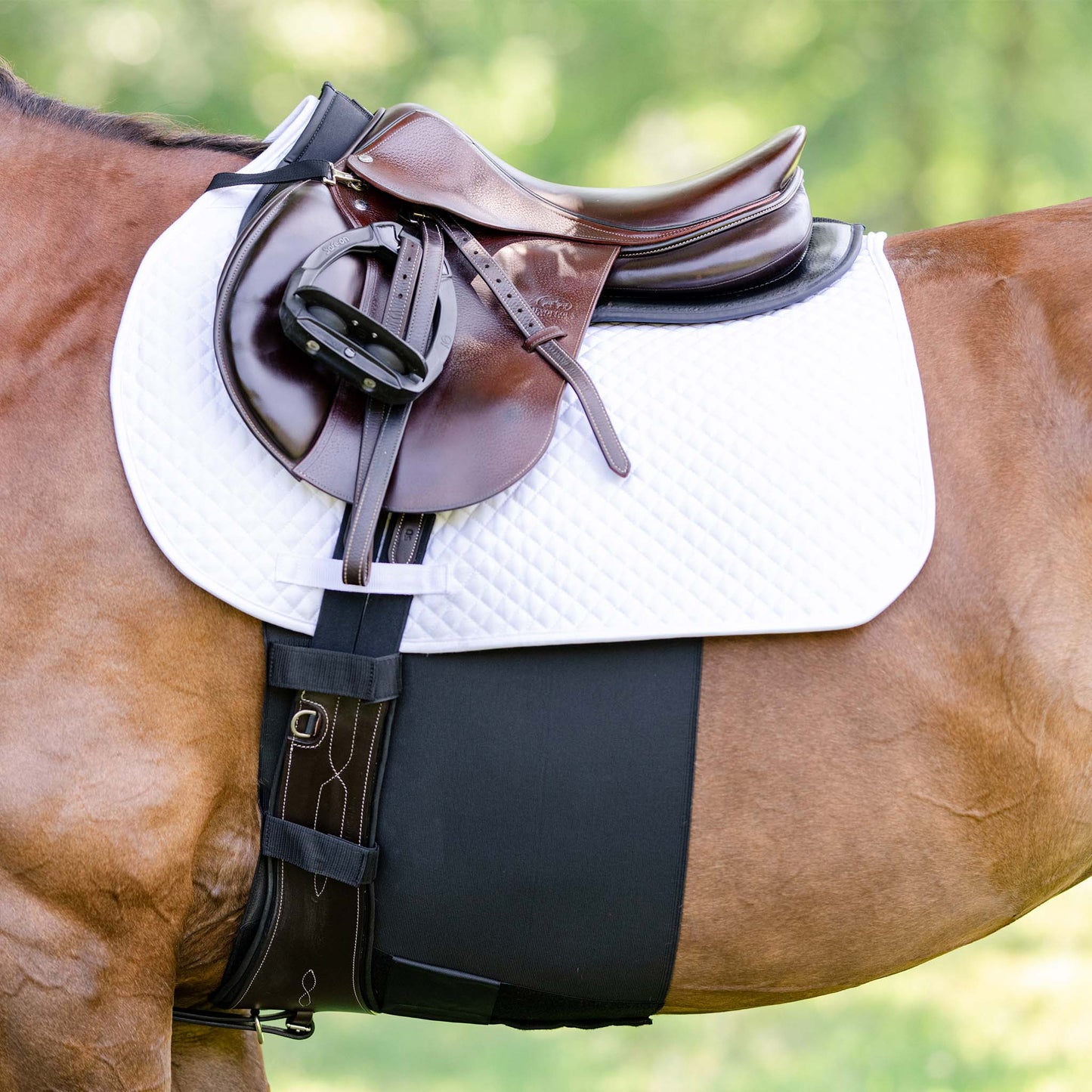 BellyBand Plus by Equifit