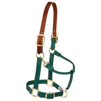 Breakaway Nylon Halter by Weaver Leather