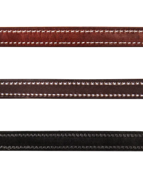 British Halter by Walsh