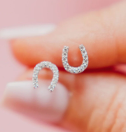 Horseshoe Earrings