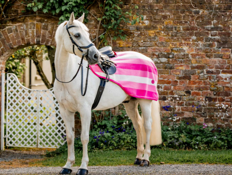 Horseware Newmarket Exercise Sheet