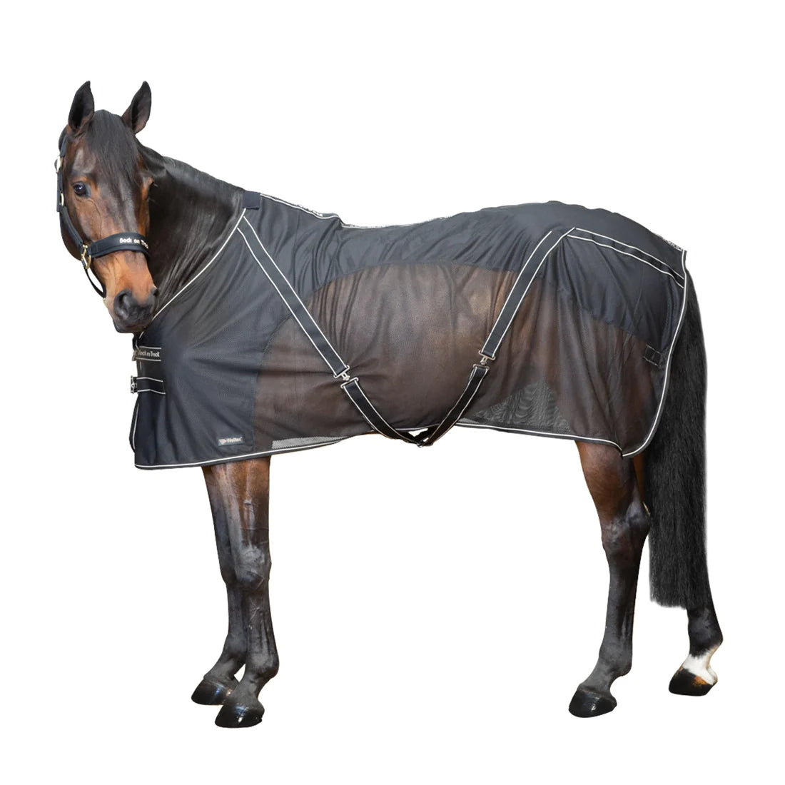 Sienna Mesh Cooler by Back on Track