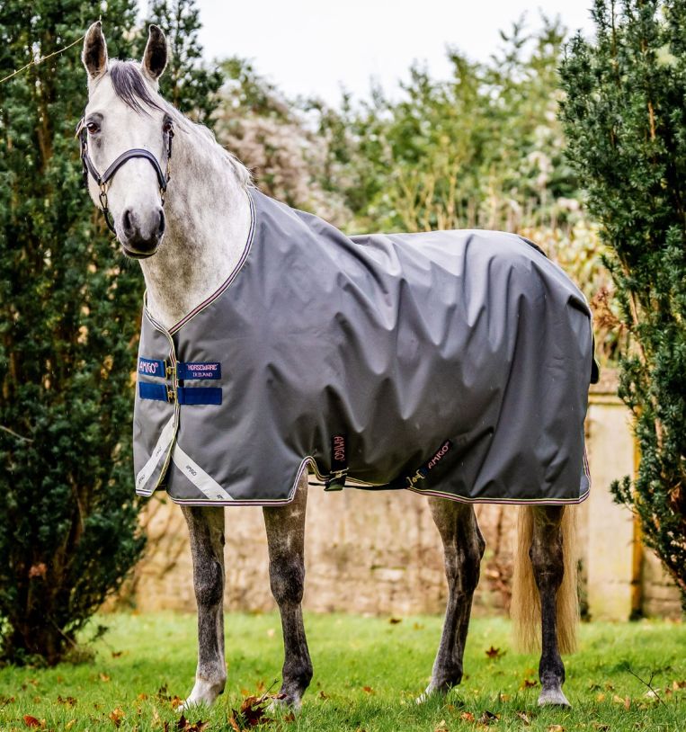 Amigo Bravo 12 Plus Lite Turnout by Horseware