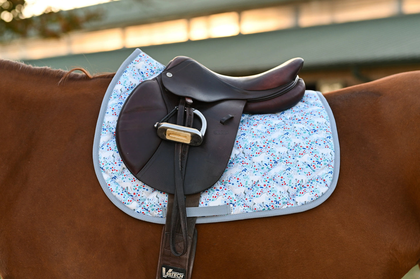 Dreamers and Schemers Saddle Pad