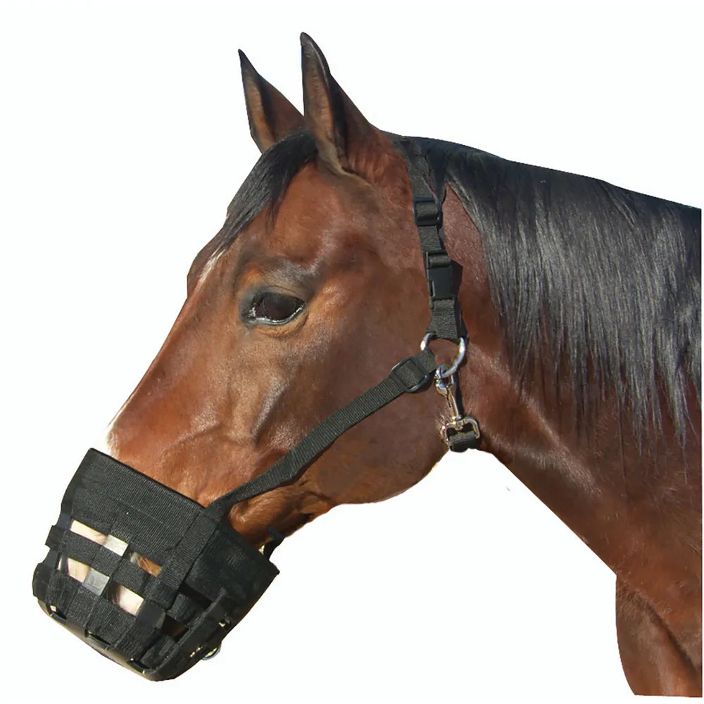 Best Friend Deluxe Grazing Muzzle