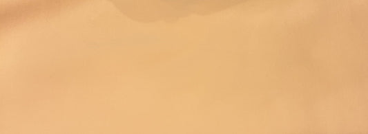 Tailored Sportsman Ladies IceFil LS Shirt II