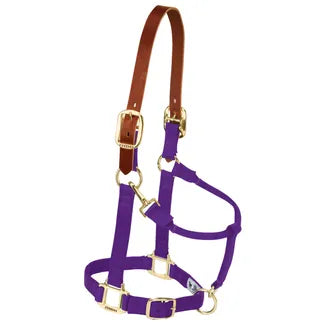 Breakaway Nylon Halter by Weaver Leather