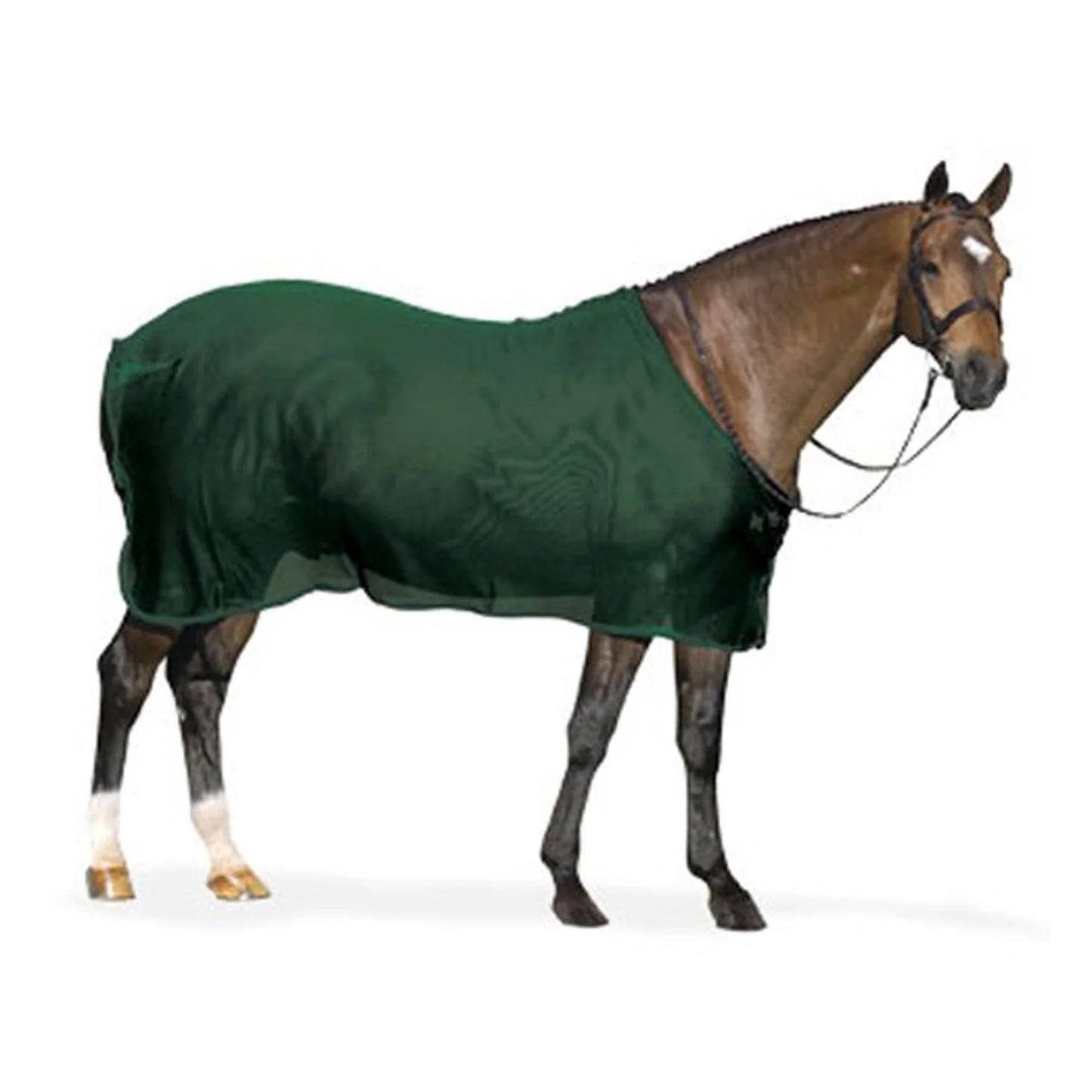 Centaur Dress Scrim