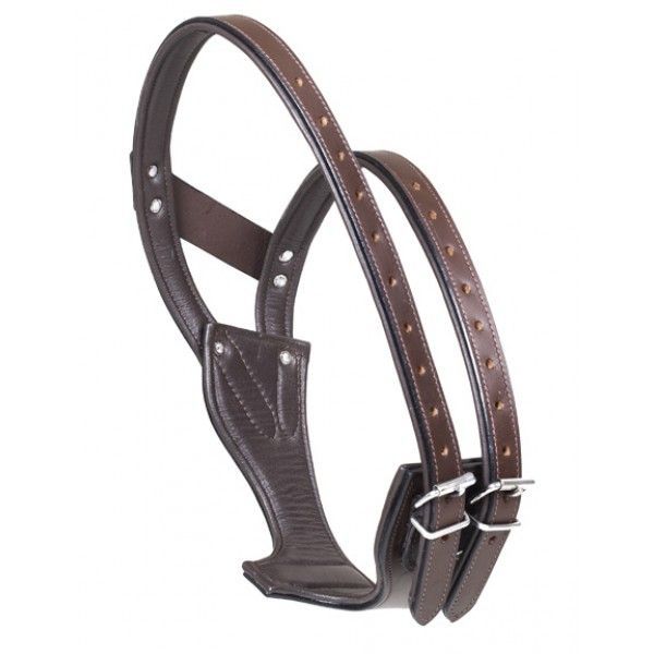 Centaur Padded AntiCrib Collar