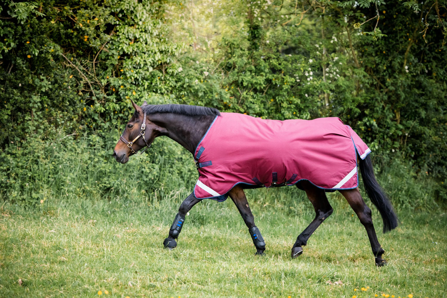 Rambo Original with Leg Arches 0g Turnout Sheet