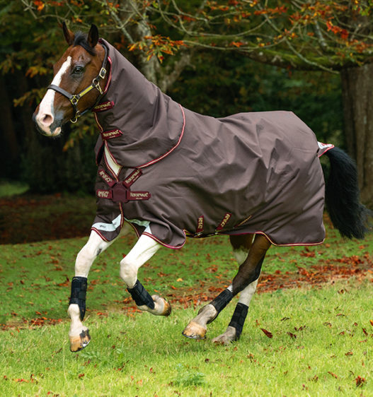 Amigo® Bravo 12 Plus w/ Front Disc Closure (Lite) by Horseware