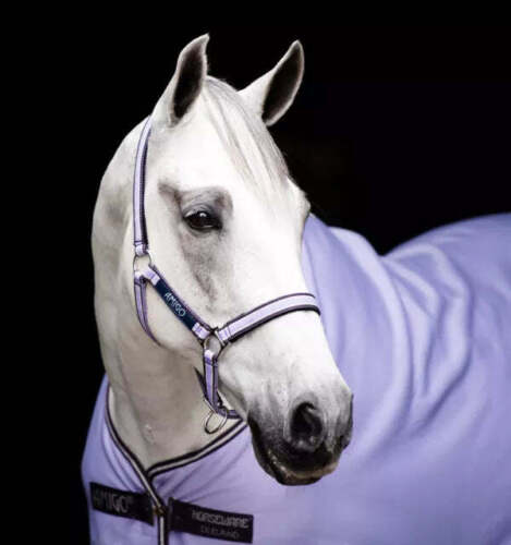 Amigo Halter by Horseware