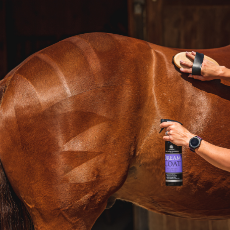 Dream Coat Ultimate Coat Finish