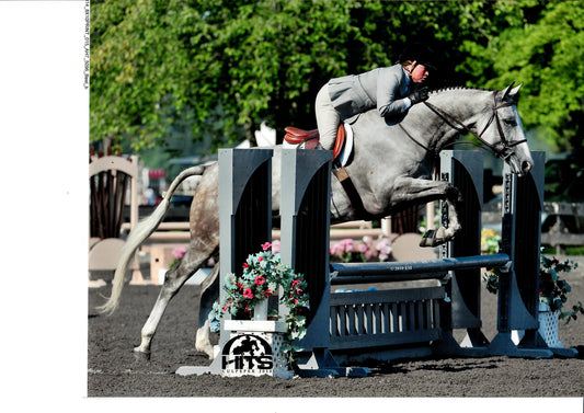 Hunter Jumper vs. Show Jumping: Understanding the Distinctions