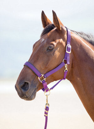 Topaz Nylon Breakaway Halter by Shires