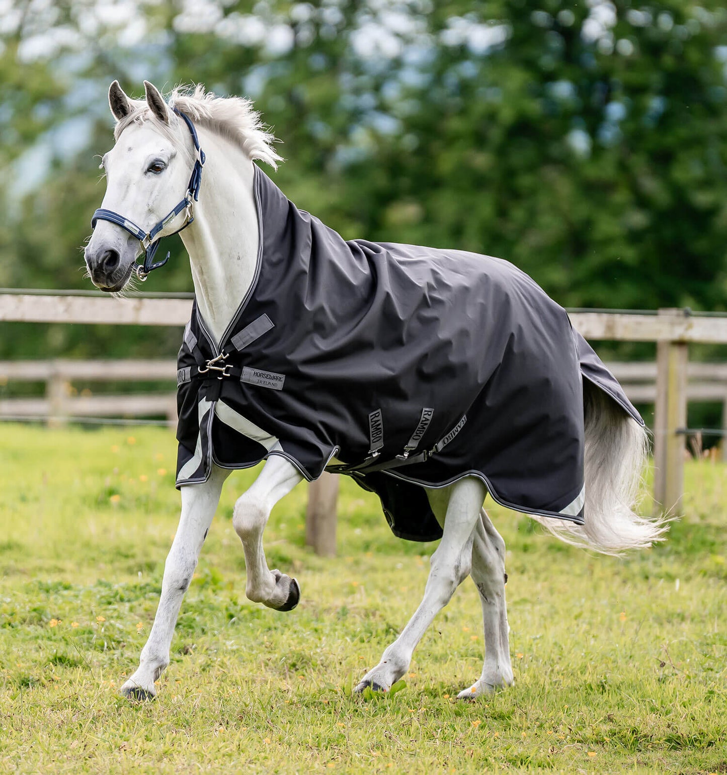 Rambo Wug 400g Heavy