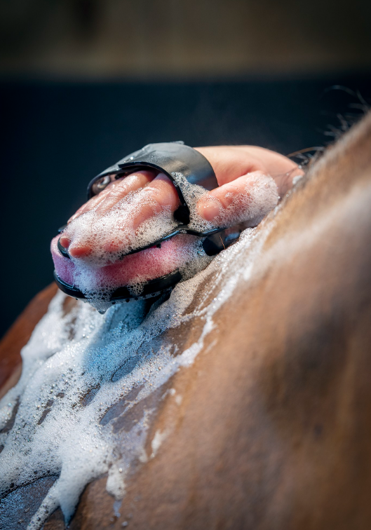 Hippo Scrubber by LeMieux