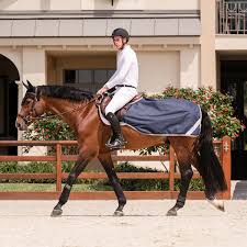 Amigo Ripstop Exercise Sheet