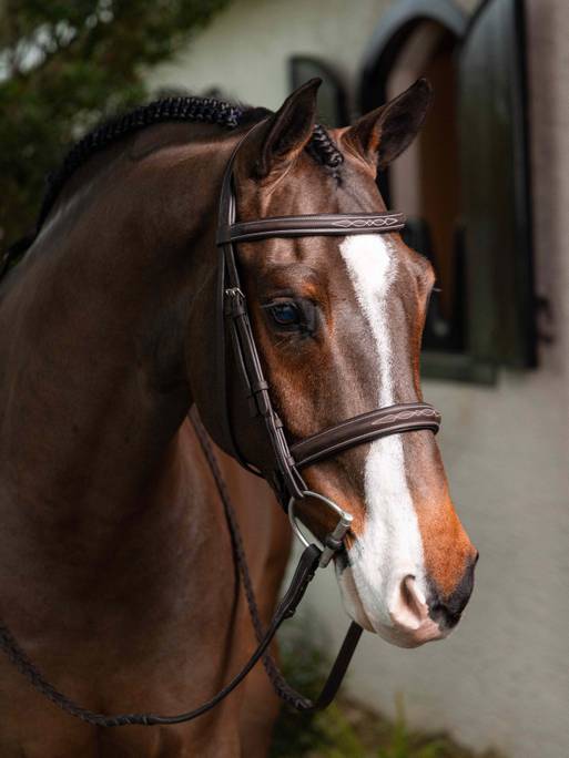 Stitched Hunter Bridle with Lace Reins