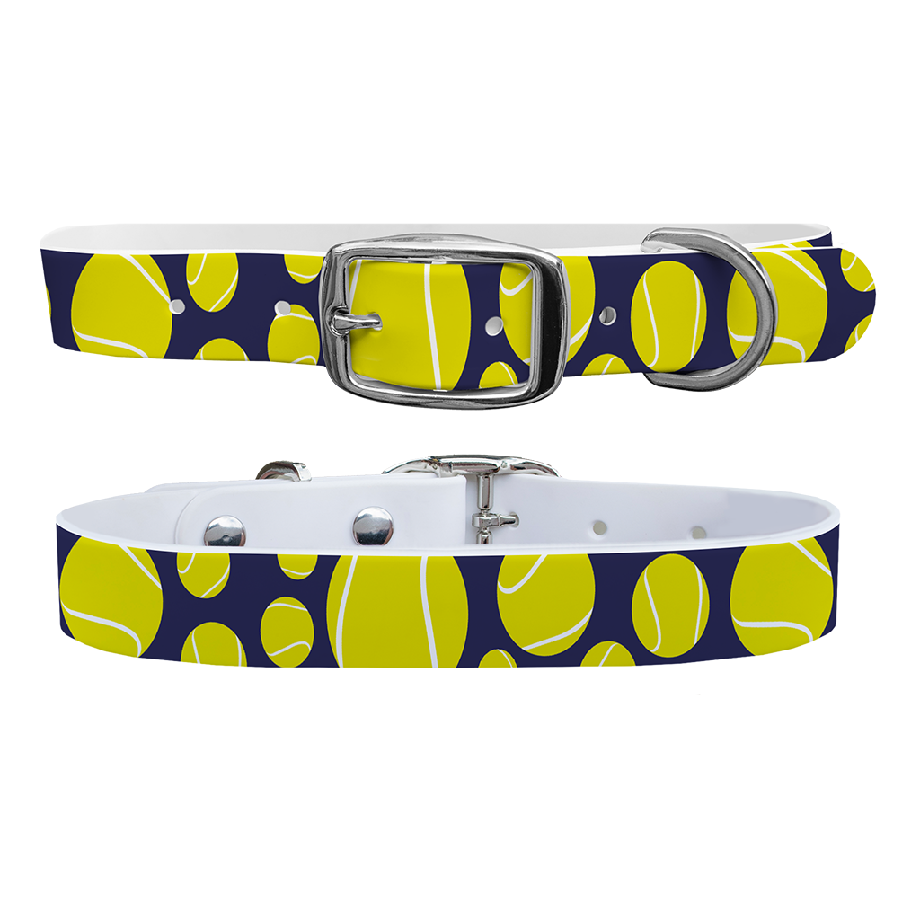 C4 Dog Collar