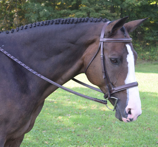 Black Oak Spruce Hunter Bridle