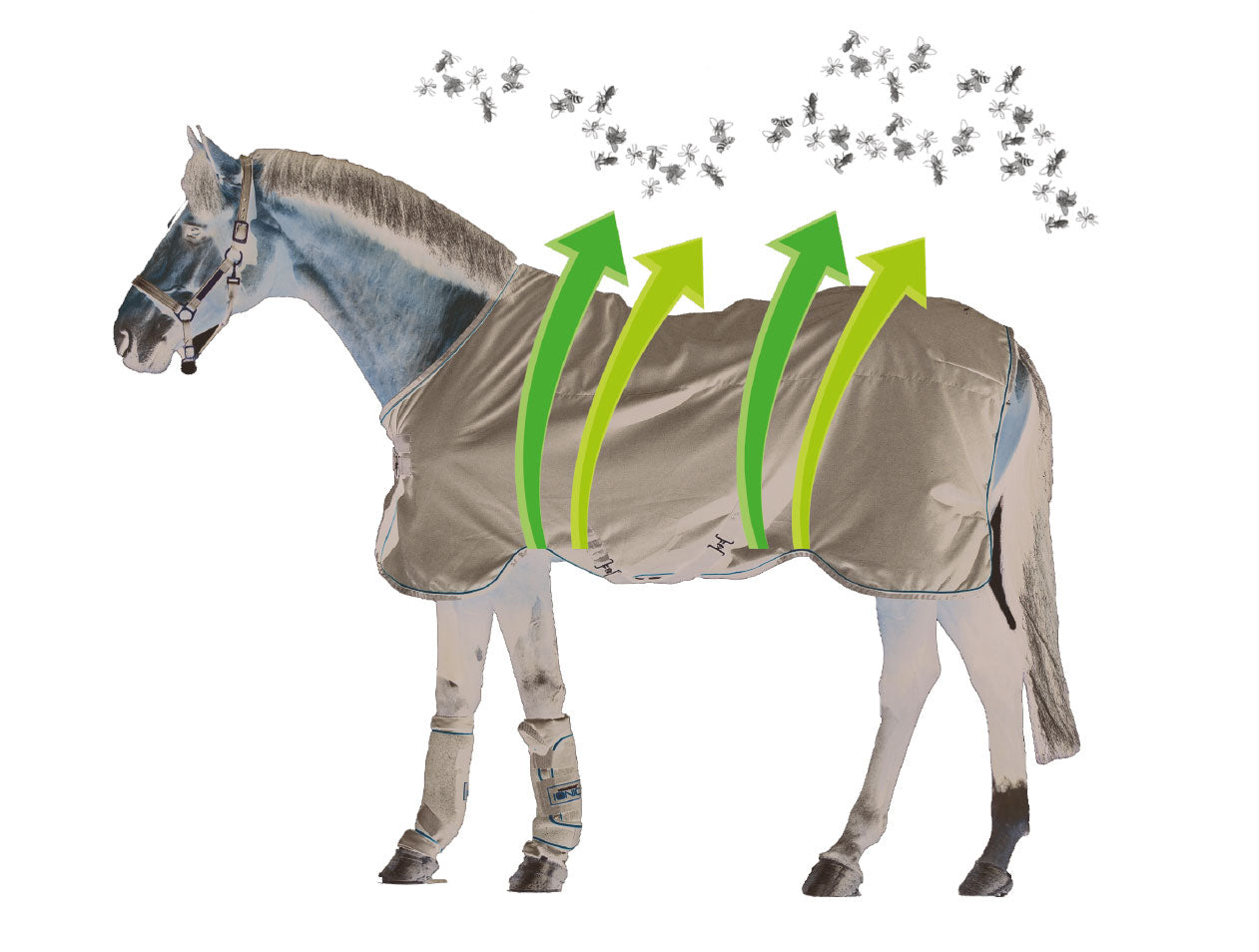 Amigo Bug Buster Flysheet by Horseware